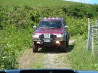 toyota surf